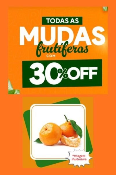 mudas Frutíferas