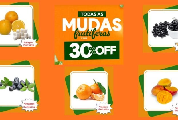 mudas Frutíferas