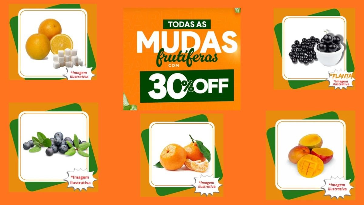 Benefícios de Mudas Frutíferas 1 mudas Frutíferas