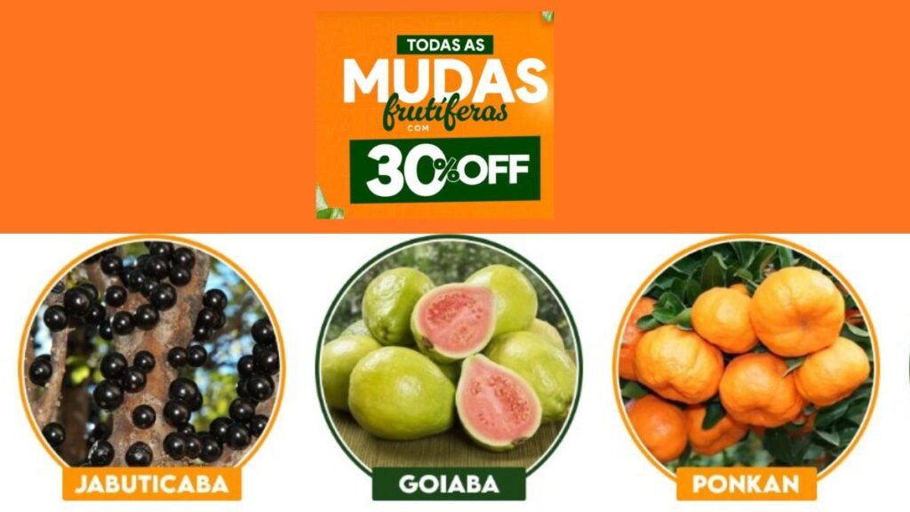 Benefícios de Mudas Frutíferas 2