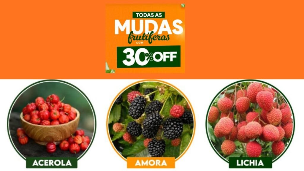Benefícios de Mudas Frutíferas 3